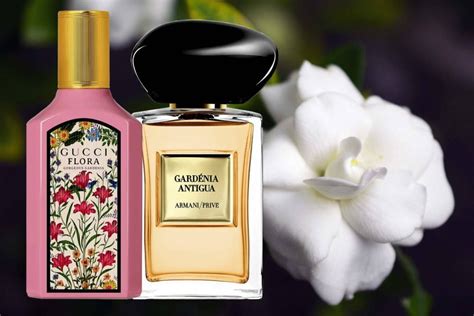 perfume de gardenias original|best smelling gardenia perfume.